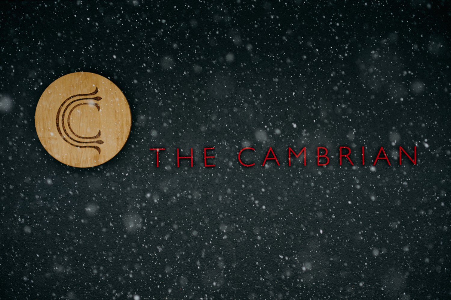 The Cambrian