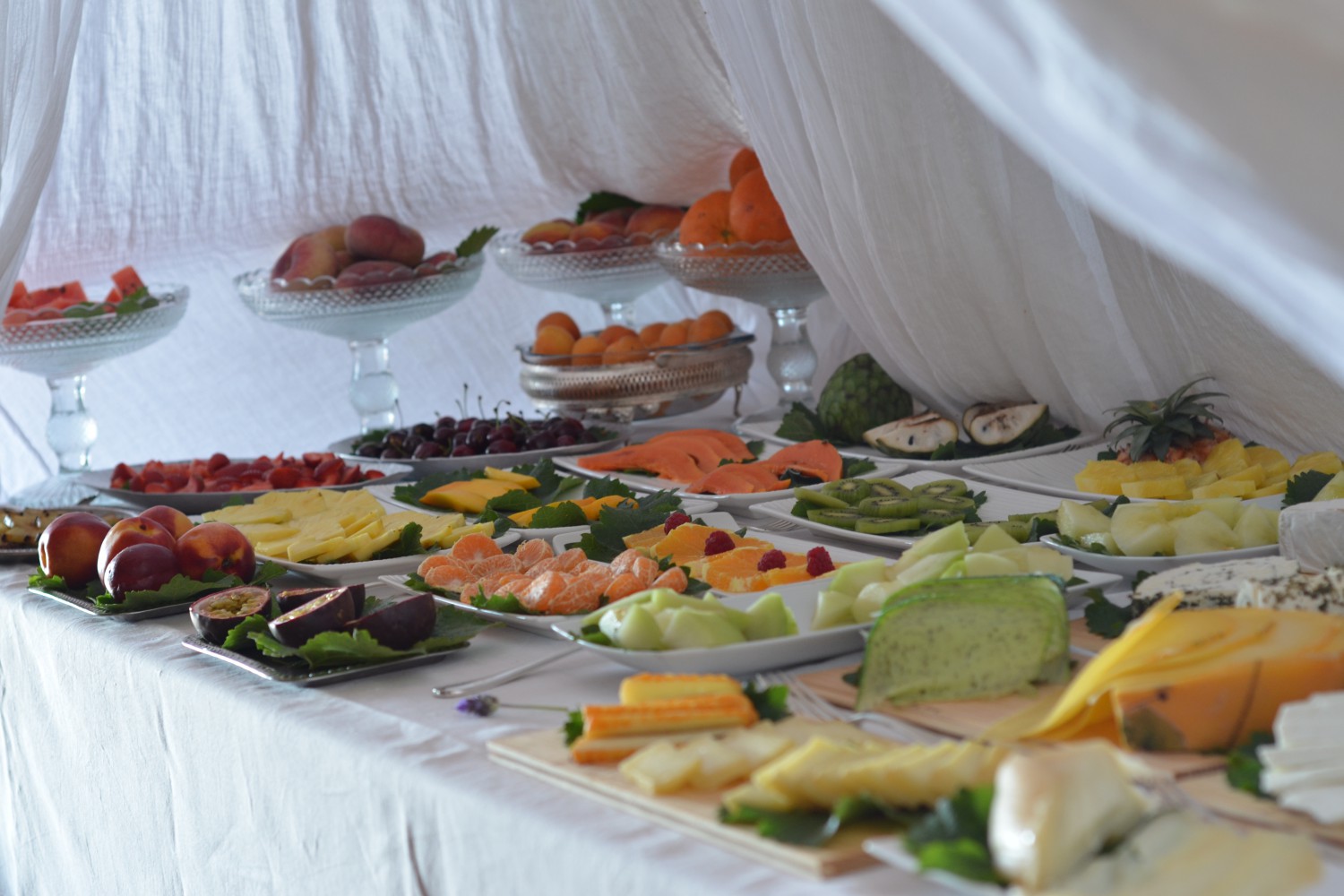 Herdade da Malhadinha Nova