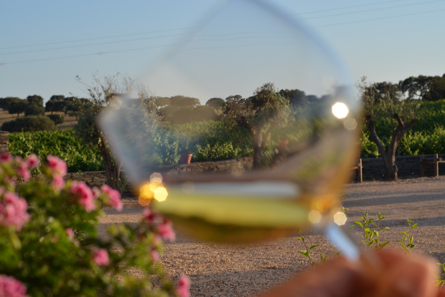 Herdade da Malhadinha Nova