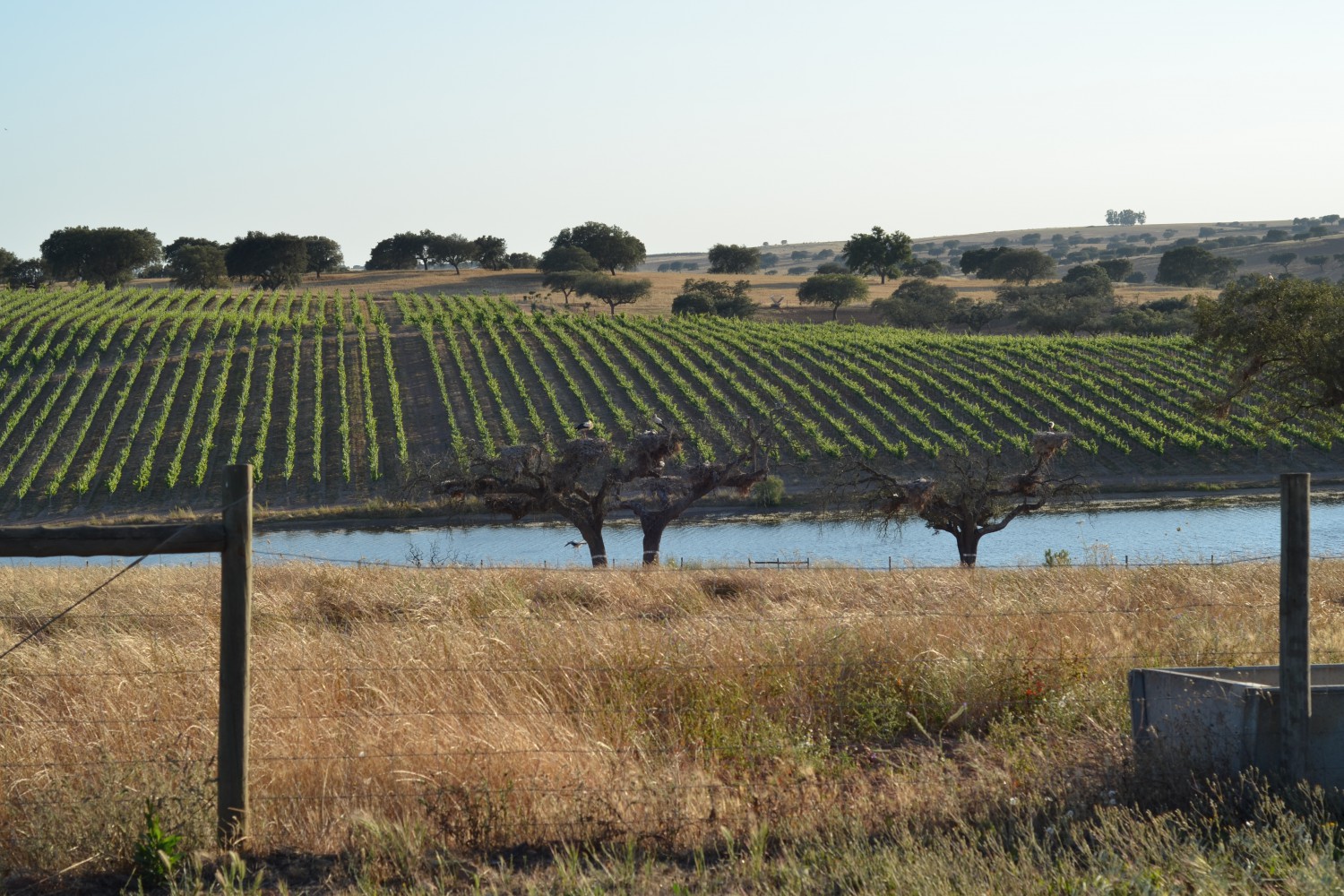 Herdade da Malhadinha Nova