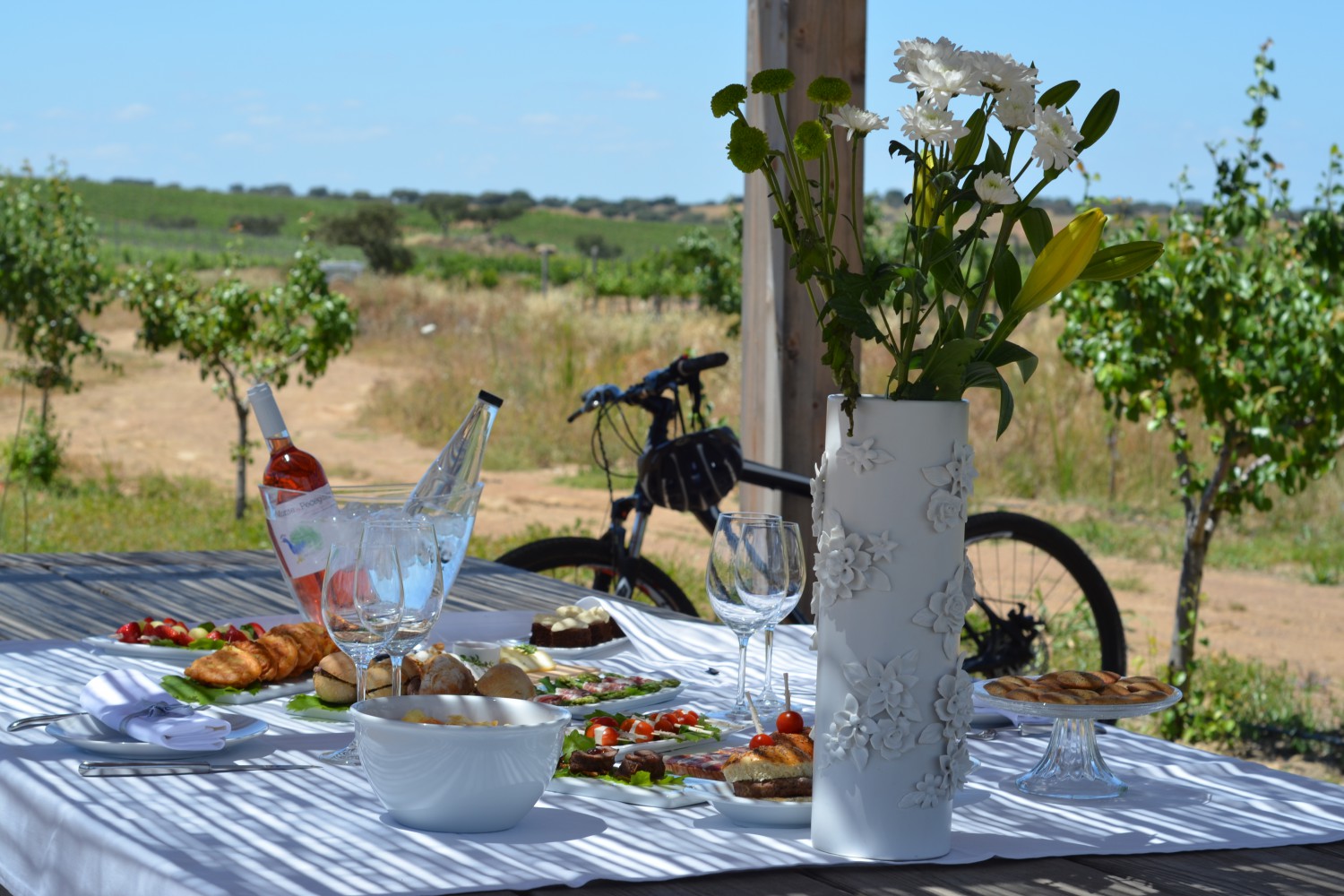 Herdade da Malhadinha Nova