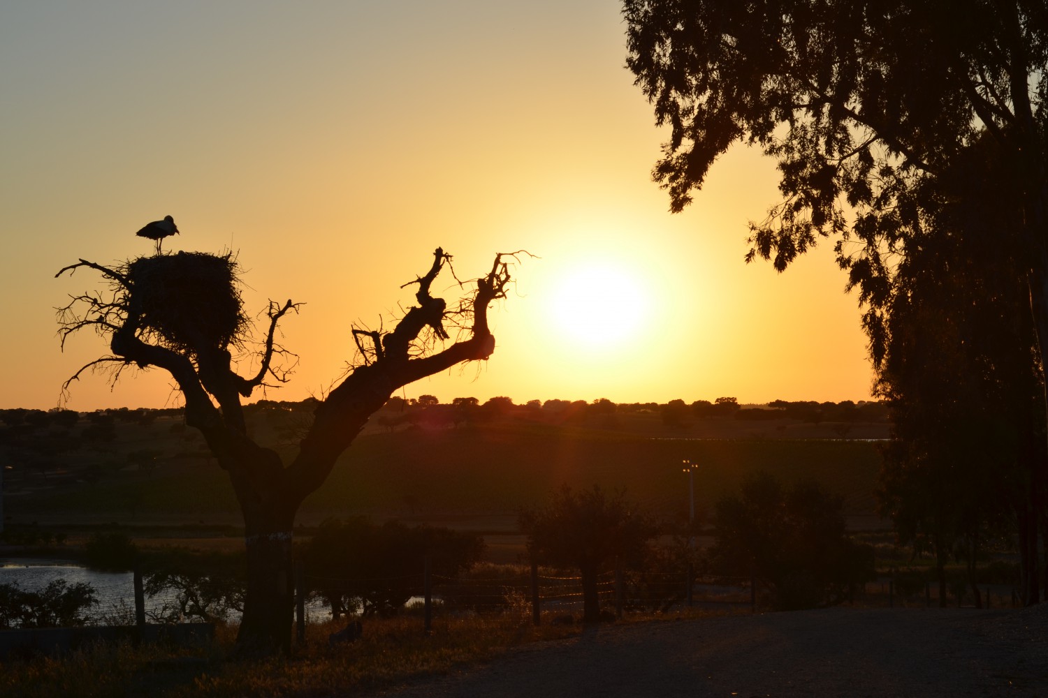 Herdade da Malhadinha Nova