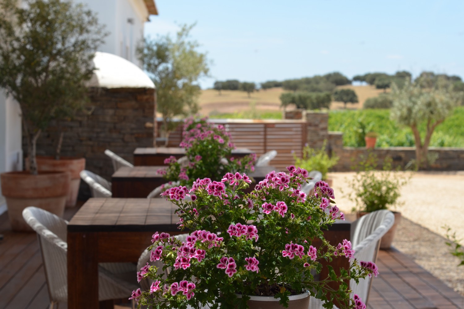 Herdade da Malhadinha Nova