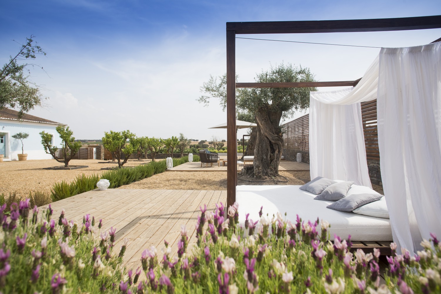 Herdade da Malhadinha Nova